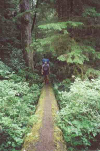 Br&uuml;cke auf dem WCT